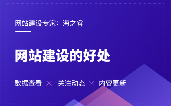 海之睿的網(wǎng)站建設(shè)有那些好處？